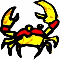 Picture of a crab