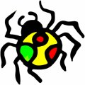 Bug